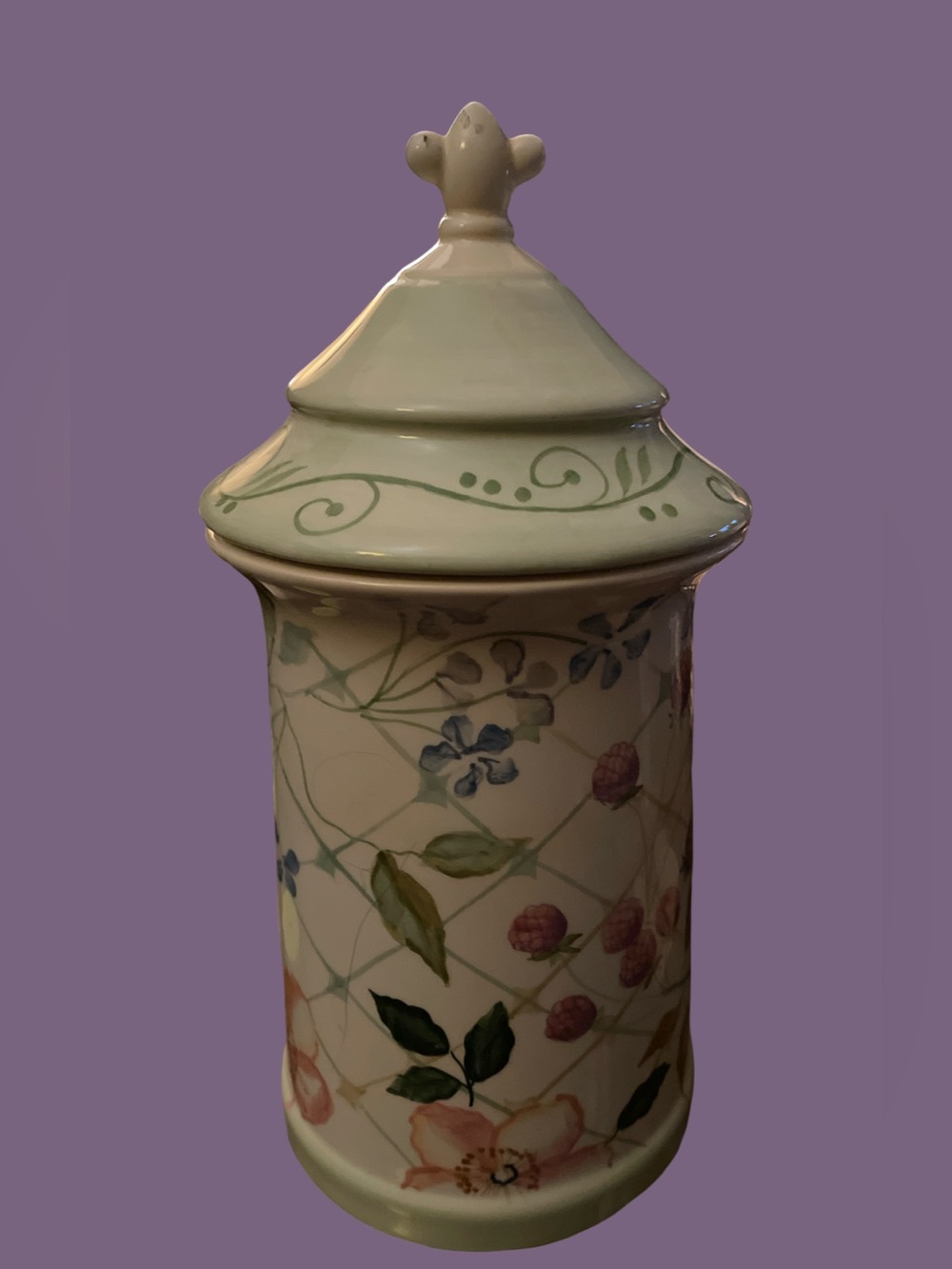Tracy Porter “Evelyn” Canister w Lid - Retired. (10.5” x 5”) Perfect Condition
